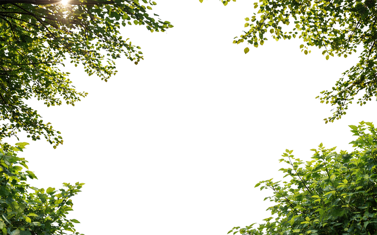 Odenwald Vordergrund